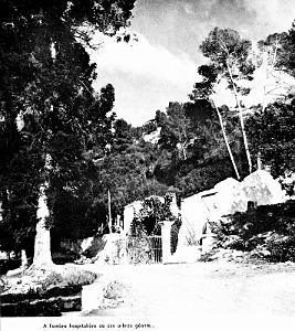 Misserghin - Grotte de la Vierge N.D. de Lourdes - 04